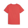 Футболка Puma ACTIVE SPORTS Graphic Tee B 679206-25
