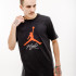 Футболка Jordan JUMPMAN FLIGHT HBR TEE AO0664-010