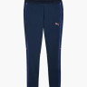 Штани Puma individualBLAZE Training Pants 659562-01