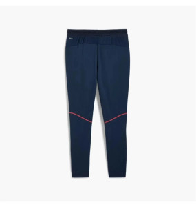 Штани Puma individualBLAZE Training Pants 659562-01