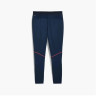 Штани Puma individualBLAZE Training Pants 659562-01