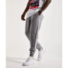 Костюм спортивний Air Jordan Essentail Grey Grey DQ7466-091_DQ7340-091