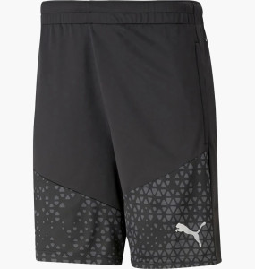 Шорти чоловічі Puma Shorts Teamcup Trainingsshor 657993-03