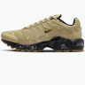 Кросівки Кросівки Nike Air Max Plus GS Wheat Grass DZ6308-700