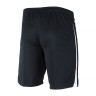Шорти тренувальні Nike M NK DF LGE KNIT III SHORT K DR0960-010