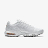Кросівки Nike AIR MAX PLUS 604133-139