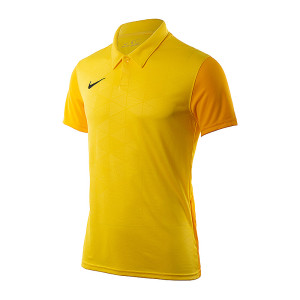 Футболка NIKE Trophy IV BV6725-719