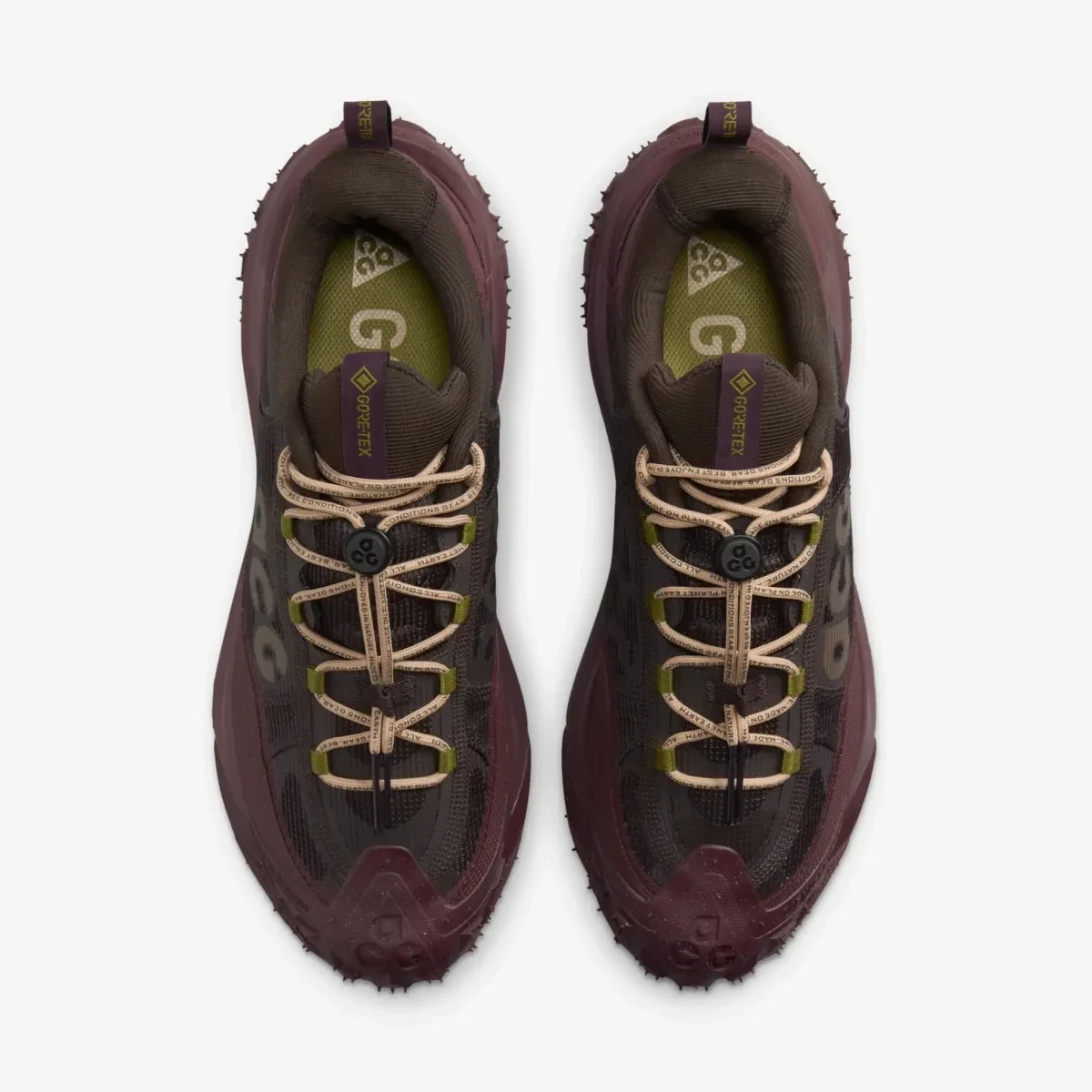 Кросівки ACG MOUNTINE FLY 2 LOW GTX HF6245 200