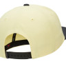 Кепка Nike JORDAN PRO JUMPMAN SNAPBACK бежевий, чорний Уні MISC AR2118-706