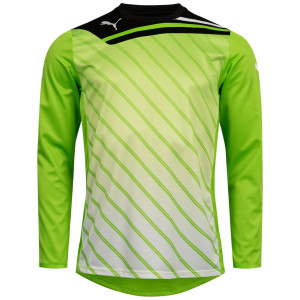 Кофта воротаря Puma 701006-27 701006-27