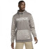 Худі NIKE THERMA DD1762-289