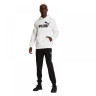 Худі Puma Essentials Big Logo Hoodie 846812-02