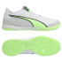 Футзалки Puma Ibero IV White-Speed ​​107418-0141 107418-01
