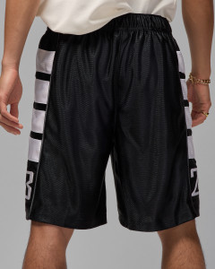 Шорти Jordan M BRK CAT SCRATCH SHORT HV0560-013