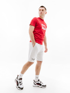 Футболка HELLY HANSEN HH BOX T 53285-162