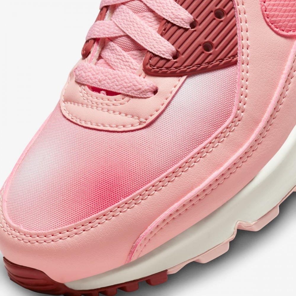 Кросівки Nike Air Max 90 FN0322-600
