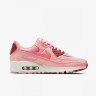 Кросівки Nike Air Max 90 FN0322-600
