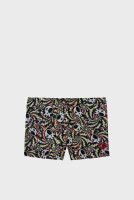 Плавки Arena FUN SKULLS  SWIM SHORT 010298-550