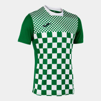 Футболка Joma FLAG III зелено-біла 103157.452 103157.452