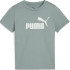 Футболка Puma ESS No. 1 Logo Tee PS 684930-30