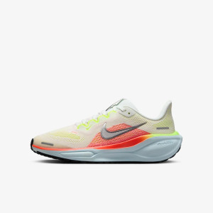 Кросівки Nike Air Zoom Pegasus 41 FN5041-100