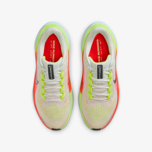 Кросівки Nike Air Zoom Pegasus 41 FN5041-100