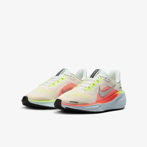 Кросівки Nike Air Zoom Pegasus 41 FN5041-100