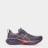 Кросівки Asics NOVABLAST 5 1011B974-500 1011B974-500