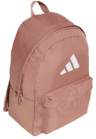 Рюкзак Adidas CLSC BARS BP IS7055