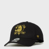Бейсболка (MVP) 47 Brand ANAHEIM DUCKS METALLIC SNAP MTLCS25WBP-BKC
