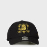 Бейсболка (MVP) 47 Brand ANAHEIM DUCKS METALLIC SNAP MTLCS25WBP-BKC