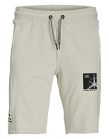 Шорти JPSTFILO SWEAT SHORTS FB SN 12230410-Moonbeam Jack&Jones L Бежевий 12230410-Moonbeam