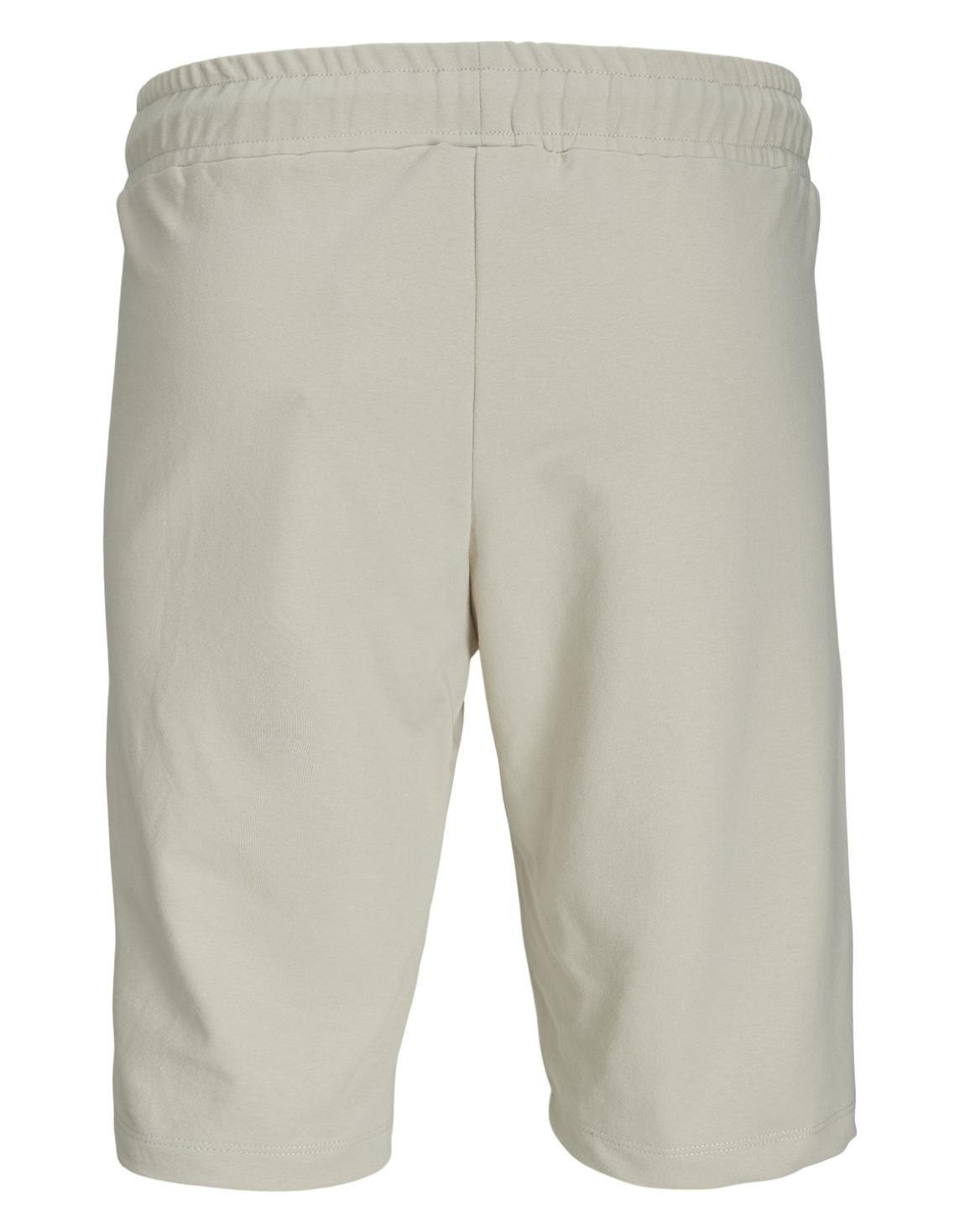 Шорти JPSTFILO SWEAT SHORTS FB SN 12230410-Moonbeam Jack&Jones L Бежевий 12230410-Moonbeam