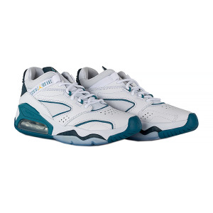 Кросівки баскетбольні JORDAN POINT LANE CZ4166-102