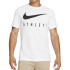 Футболка Nike M NK DF TEE DB ATHLETE FS DD8616-100
