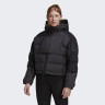 Куртка Adidas Terrex Xploric Jacket HG8571 L HG8571