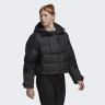 Куртка Adidas Terrex Xploric Jacket HG8571 L HG8571