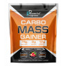Порошок Carbo Mass Gainer - 2000g Strawberry 100-47-7669347-20