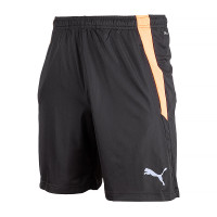 Шорти Puma teamLIGA Training Shorts 2 65766750