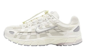 Кросівки Nike W P-6000 PRM HJ7284-072