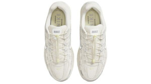 Кросівки Nike W P-6000 PRM HJ7284-072