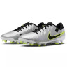 Бутси Nike LEGEND 10 ACADEMY FG/MG DV4337-001