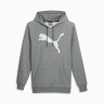 Худі ч PUMA Men's Big Cat Logo Hoodie 672712-03