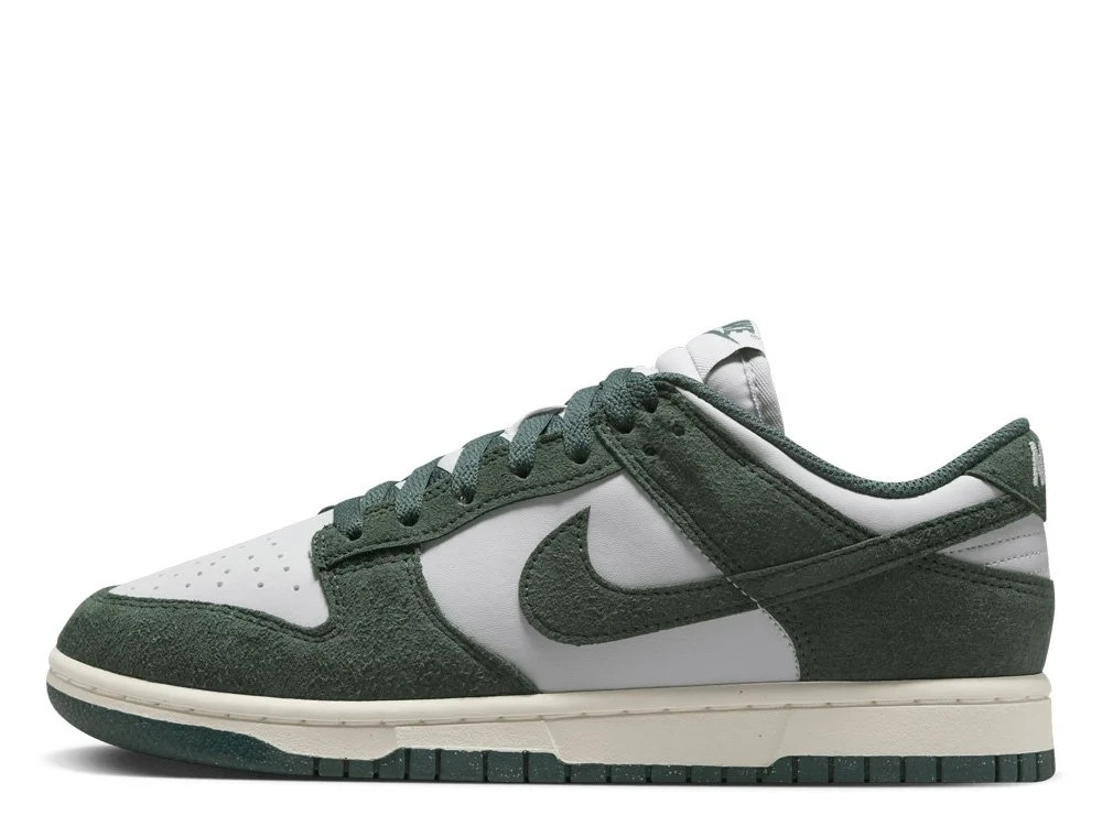 Кросівки Nike WMNS DULOW HJ7673-002