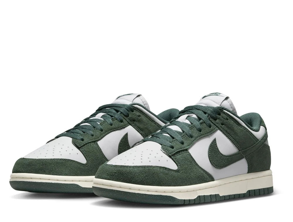 Кросівки Nike WMNS DULOW HJ7673-002
