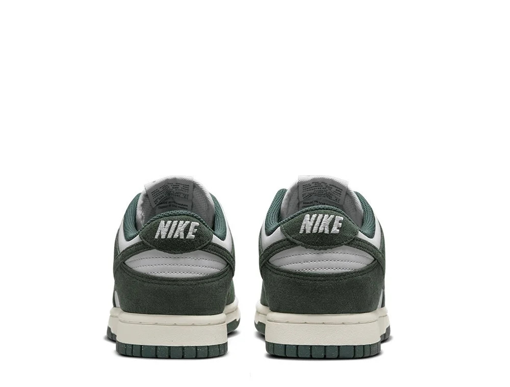 Кросівки Nike WMNS DULOW HJ7673-002
