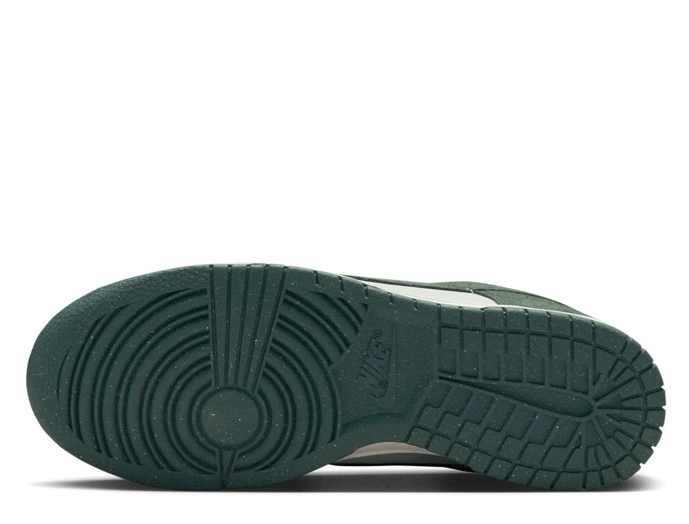 Кросівки Nike WMNS DULOW HJ7673-002