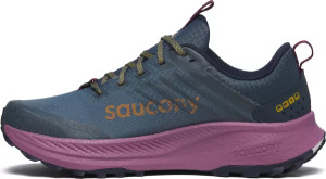 Кросівки для бігу Saucony RIDE TR2 GTX S10953-251