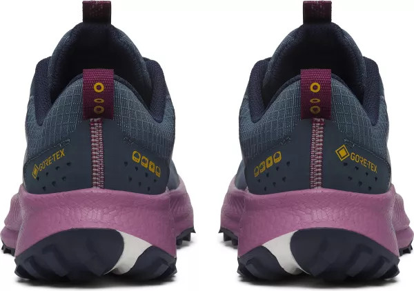 Кросівки для бігу Saucony RIDE TR2 GTX S10953-251