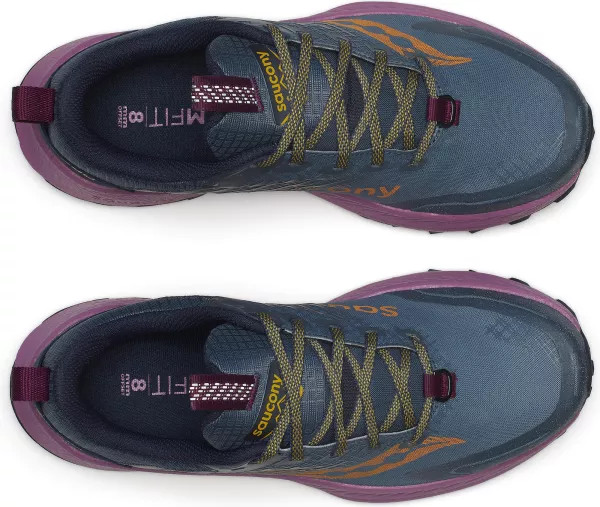 Кросівки для бігу Saucony RIDE TR2 GTX S10953-251